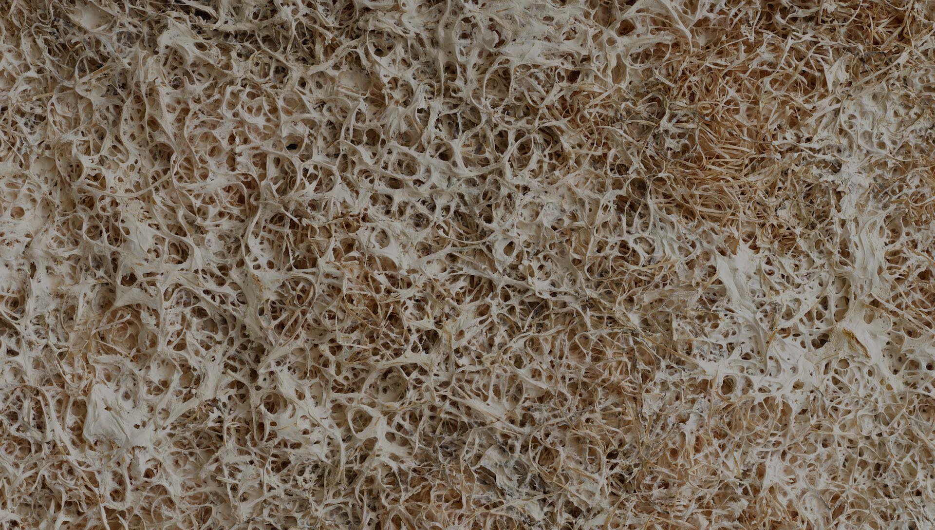 The future of acoustic design