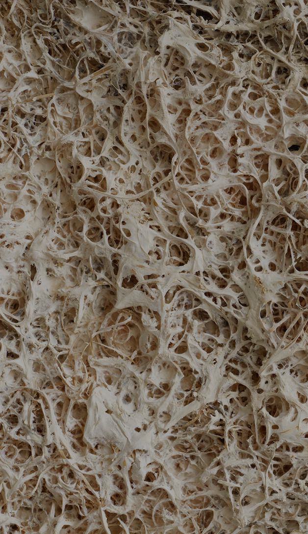 The future of acoustic design